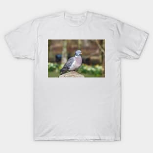 Wood Pigeon Perched On Post T-Shirt